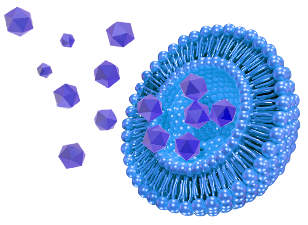 nanoDDS Hero – Home Liposome Only